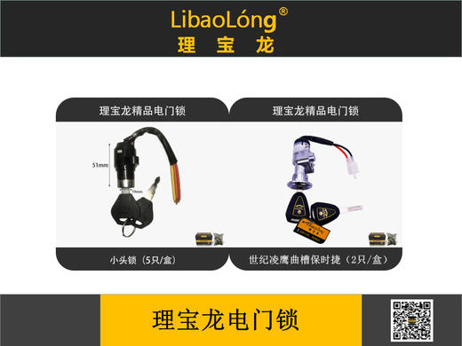 理宝龙电门锁 商品图0