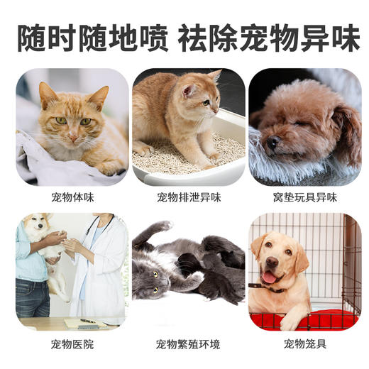 淳野 宠物祛味露 祛除异味抑制 避免蚊虫侵扰 商品图3