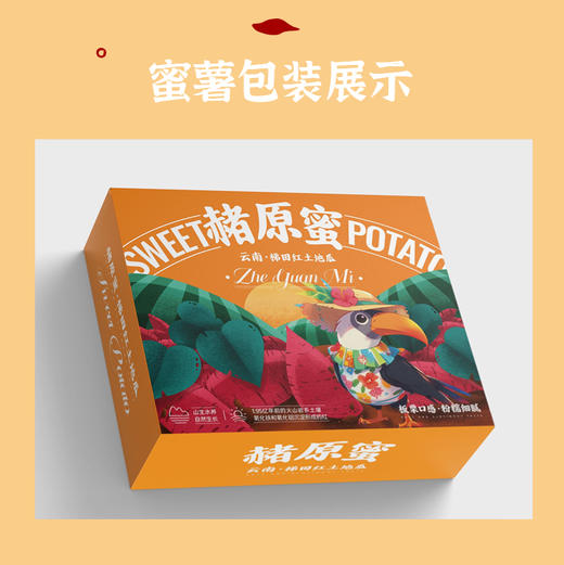 泡泡推荐||云南梯田红土地瓜 【太阳蜜】高原红薯 自然农法种植 板栗口感 粉糯细腻 自然糖化  商品图7