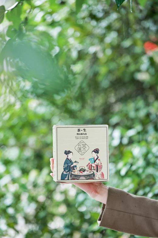 六种固元清肺食材！【五清元气茶】六味草本 即泡即喝 老少皆宜！东方茶饮入盅，古方食养带来纯粹滋味~ 商品图1