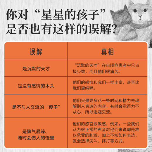 歪歪兔获奖绘本《小猫丁丁》 让孩子学会接受不同、学会尊重和关爱 （一个自闭症患儿及其家庭的故事）适3-99岁 商品图2