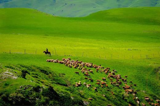 【呼伦贝尔】4岁起报，亲子同行！私家牧场野奢Glamping，敖鲁古雅撸驯鹿，马背自由驰骋，原始森林轻徒步，与自然对话！ 商品图2