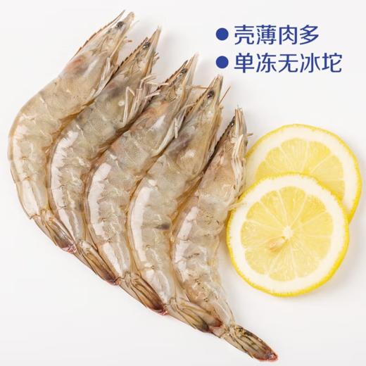 【下单立省50元】中粮凌鲜鲜冻白对虾1.4kg【分仓直发，72小时发货，周末节假日不发货】-专享价 商品图3