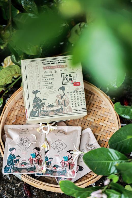 六种固元清肺食材！【五清元气茶】六味草本 即泡即喝 老少皆宜！东方茶饮入盅，古方食养带来纯粹滋味~ 商品图0
