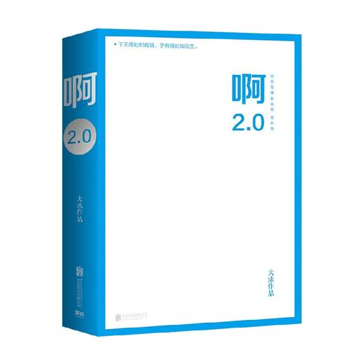 啊20 大冰 著 作品集 商品图3