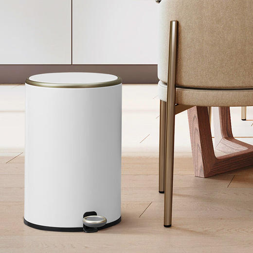【6F】多样屋垃圾桶脚踩开盖垃圾桶厨房客厅卫生间带盖家用大号不锈钢垃圾桶 商品图2