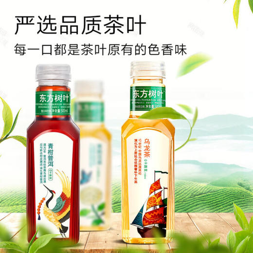 东方树叶 无糖茶饮品 茶饮料500ml*15瓶 整箱装 商品图1
