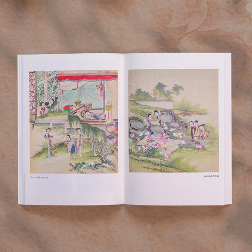 《〈红楼梦〉的意蕴》（大家美育课） 商品图4