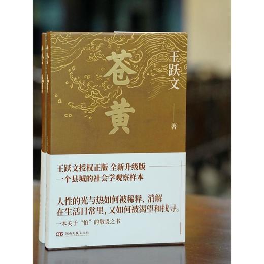 苍黄2023 商品图1