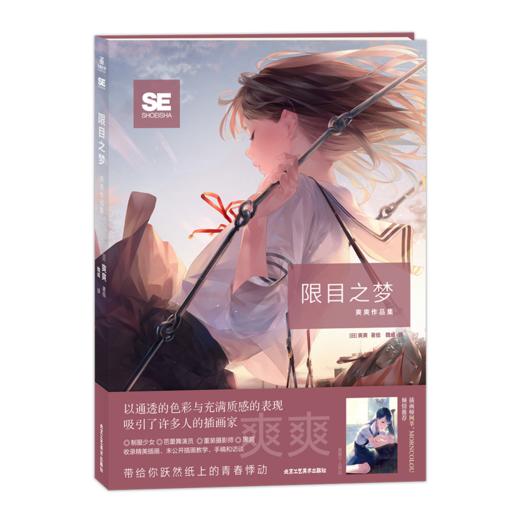 《限目之梦：爽爽作品集》超人气插画家爽爽，备受期待的第一本个人作品集 商品图0