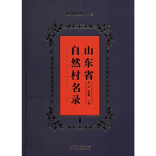 山东省自然村名录 商品图0