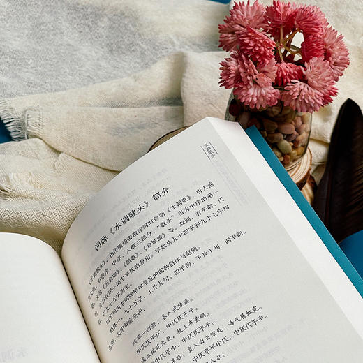 词苑漫话——常用词牌及其历代佳作赏析 王能全 商品图10