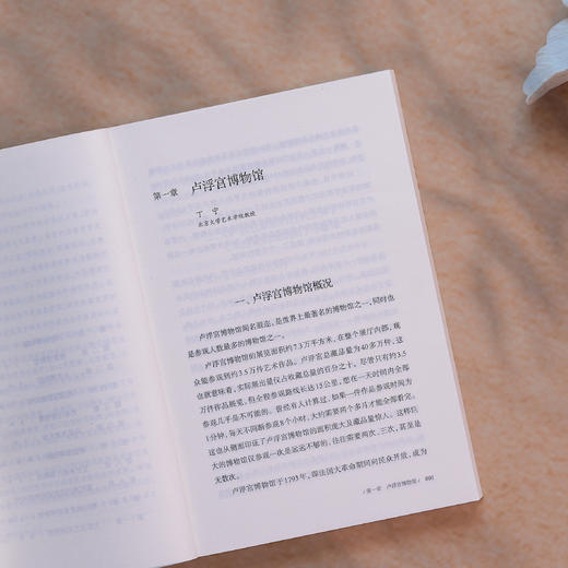 《博物馆寻美》（大家美育课） 商品图3