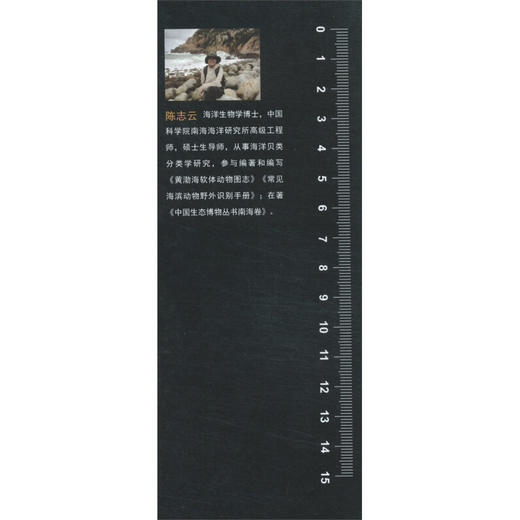 常见海贝野外识别手册 陈志云 著 科普读物 商品图0