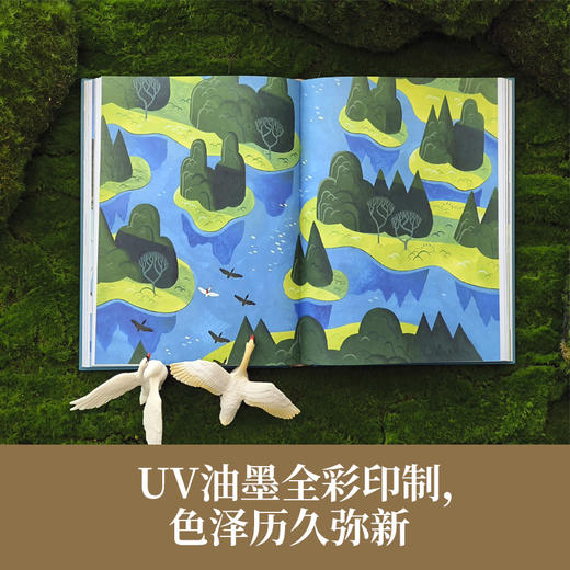 世界儿童文学经典：骑鹅旅行记 商品图5