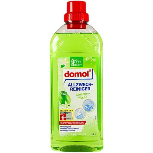 【中欧班列直供2瓶】德国domol多功能清洁剂浴室瓷砖厕所地表面玻璃去污剂卫生间 1000mL/瓶*2 商品图6