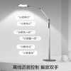 OPPLE欧普照明元睿2F护眼小路灯声控落地灯 商品缩略图4
