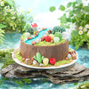 魔法多肉小镇儿童生日蛋糕 | FALANC CAKE 商品缩略图2