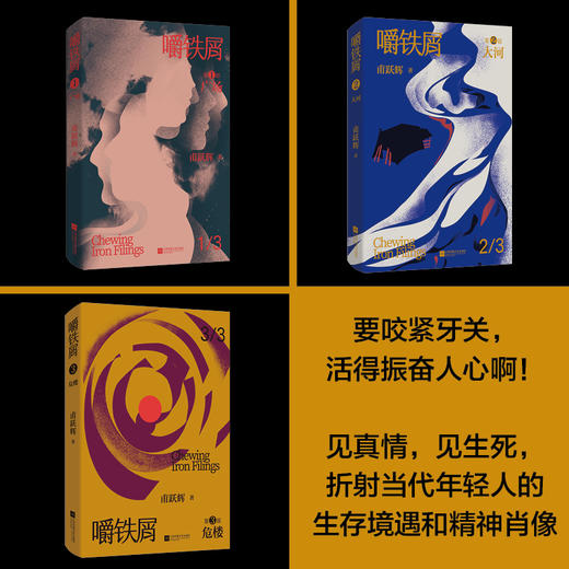 嚼铁屑（全3册）首届凤凰文学奖获作品，当代80、90后走向成熟，成为社会担当的深思之书(甫跃辉) 商品图2