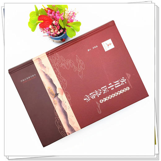 【出版社直销】实用中医急诊学 刘清泉 主编（实用中医临床医学丛书）中国中医药出版社 中医临床 书籍 商品图2