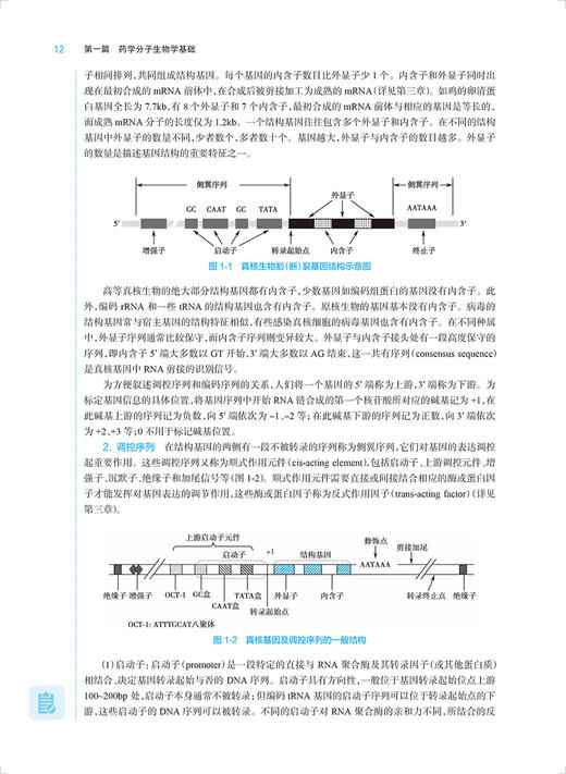 药学分子生物学 第6版 张景海 十四五规划 全国高等学校药学类专业第九轮规划教材 供药学类专业用 人民卫生出版社9787117346290 商品图3