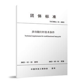 多功能灯杆技术条件 T/CMEA 31—2022