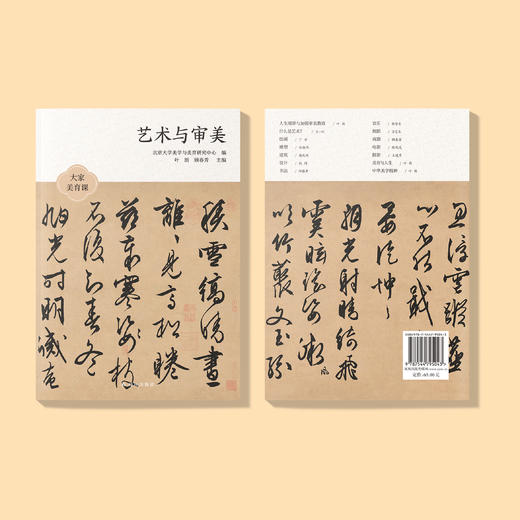 《艺术与审美》（大家美育课） 商品图6