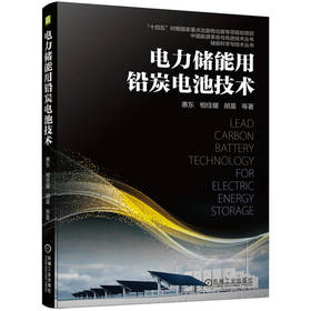 电力储能用铅炭电池技术 惠东 相佳媛 胡晨 铅炭电池基础知识用炭材料及作用机理 铅炭电池技术书籍