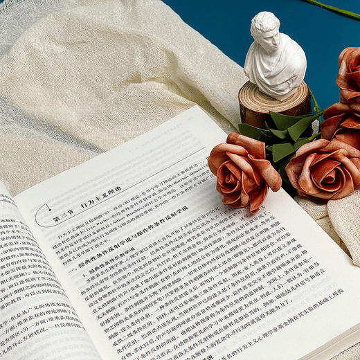 特殊儿童早期干预（第二版）杨福义 林云强编著 商品图5