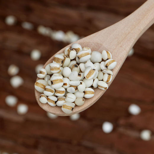 【山区杂粮】农家自产五谷薏仁米  新鲜薏米  颗粒饱满  光洁圆润  400g 商品图1