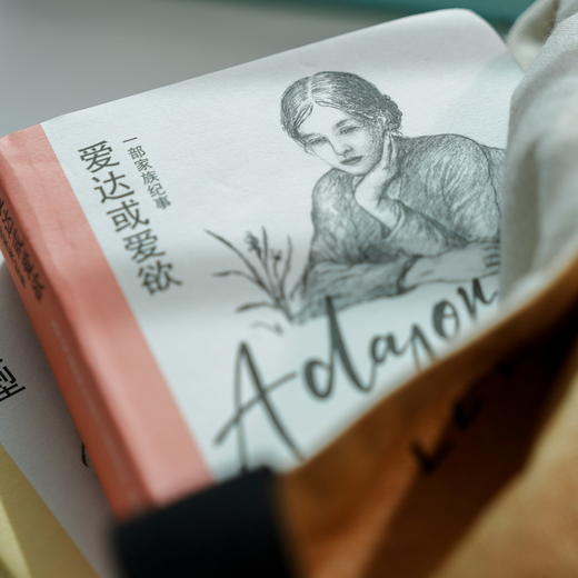 爱达或爱欲（纳博科夫精选集IV）(弗拉基米尔·纳博科夫) 商品图1