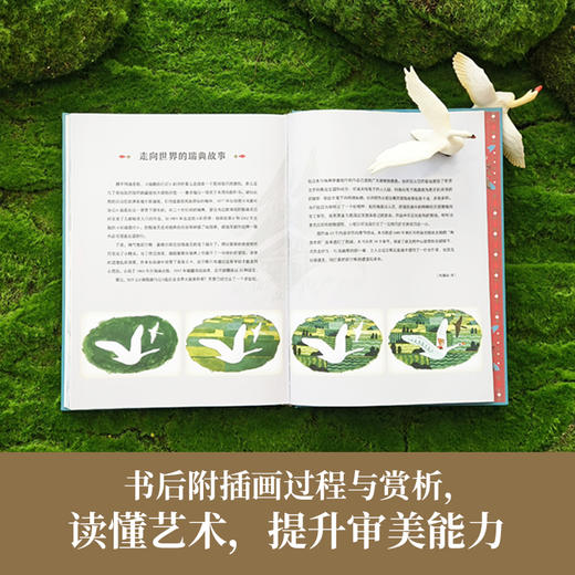 世界儿童文学经典：骑鹅旅行记 商品图8