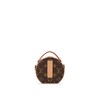 【预定款】LOUIS VUITTON 路易威登 女士经典 BOITE CHAPEAU 迷你包 M44699 商品缩略图3