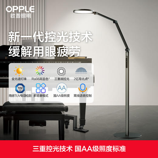 OPPLE欧普照明元睿2F护眼小路灯声控落地灯 商品图0