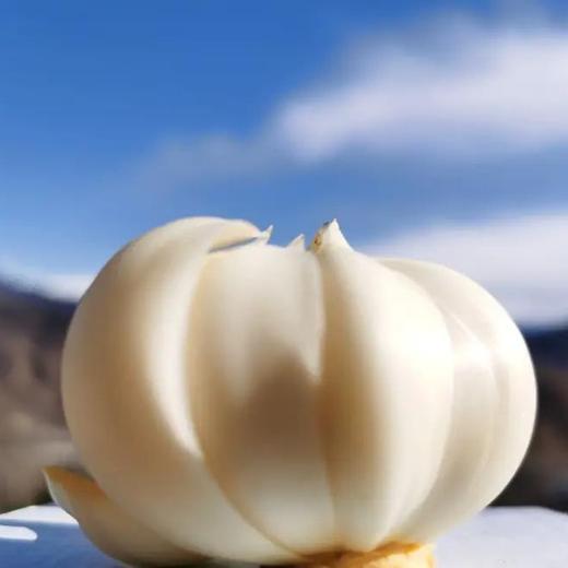 鲜龙牙百合【新果活动】 商品图0