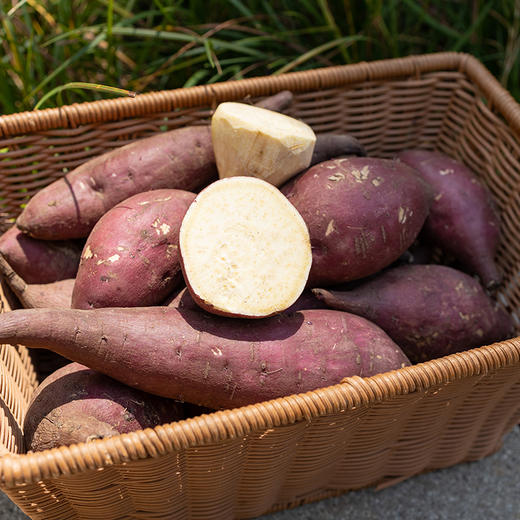 泡泡推荐||云南梯田红土地瓜 【太阳蜜】高原红薯 自然农法种植 板栗口感 粉糯细腻 自然糖化  商品图1