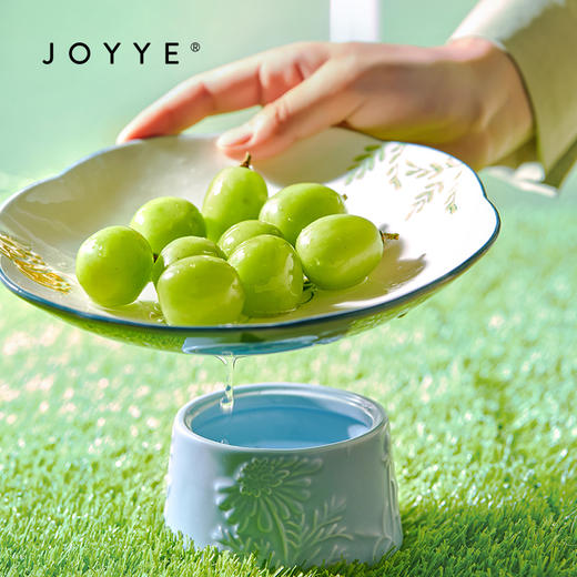 JOYYE卓艺梦里花沥水盘TFD1022127 商品图2