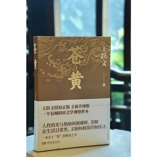 苍黄2023 商品图4