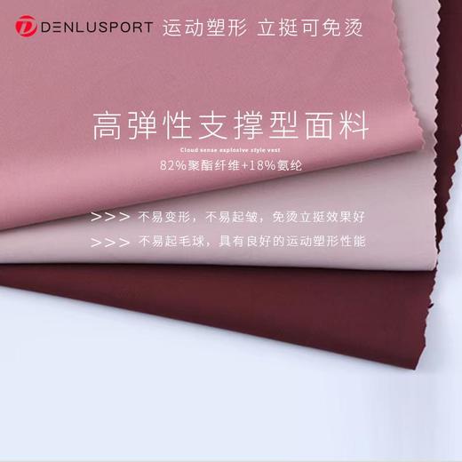 丹璐斯DK95018精选高品质聚酯纤维支撑型运动面料防卷边提臀塑形腰头设计蜜桃臀吸湿排汗透气速干不易变形起皱可免烫立挺塑形 商品图2