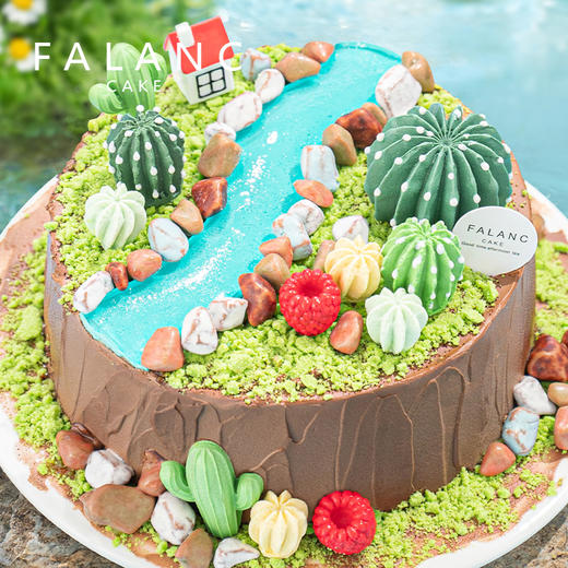 魔法多肉小镇儿童生日蛋糕 | FALANC CAKE 商品图3