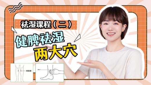 祛湿课程（二）健脾祛湿两大穴 商品图0