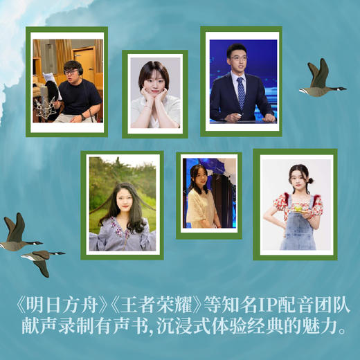 世界儿童文学经典：骑鹅旅行记 商品图6