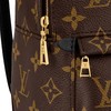 【预定款】LOUIS VUITTON 路易威登 女士经典 Palm Springs 迷你双肩包 M44873 商品缩略图6