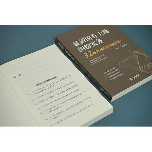 最新国有土地纠纷实务：32个裁判规则深度解析	潘萍 江帆编著 商品图3