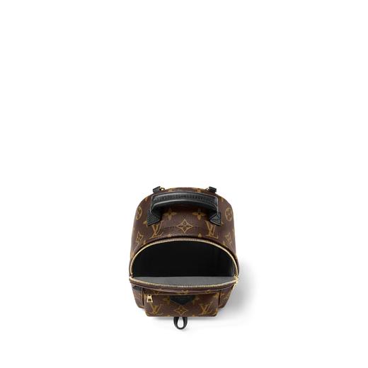 【预定款】LOUIS VUITTON 路易威登 女士经典 Palm Springs 迷你双肩包 M44873 商品图2