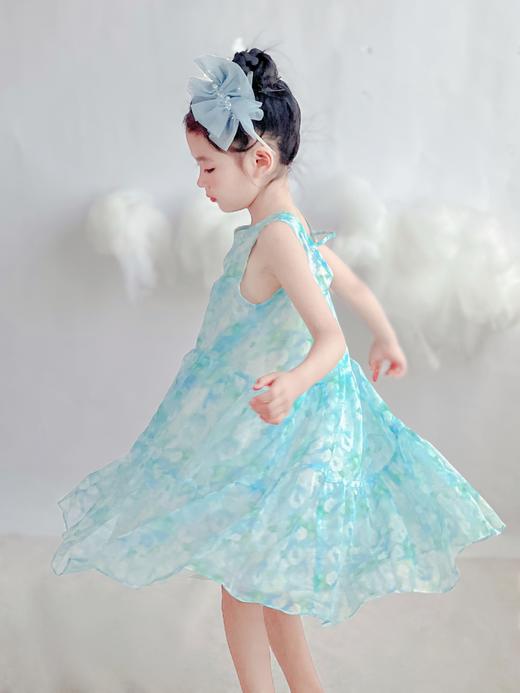 非质量问题不退不换哦~春水连衣裙 商品图2