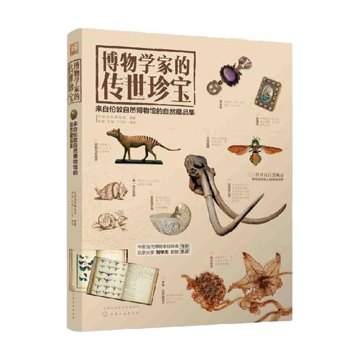 博物学家的传世珍宝 来自伦敦自然博物馆的自然藏品集 伦敦自然博物馆 著 艺术 商品图3