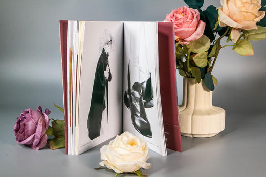 《限目之梦：爽爽作品集》超人气插画家爽爽，备受期待的第一本个人作品集 商品图8