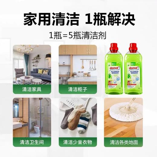 【中欧班列直供2瓶】德国domol多功能清洁剂浴室瓷砖厕所地表面玻璃去污剂卫生间 1000mL/瓶*2 商品图2