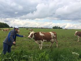  1个家族7代人的坚守与传承，成就一个伟大品牌 